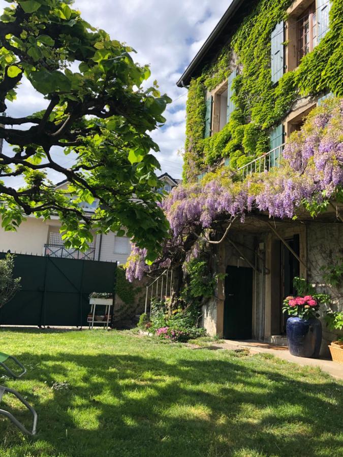 Le Clos Des Fontaines, A 5 Mn Du Lac トノン・レ・バン エクステリア 写真